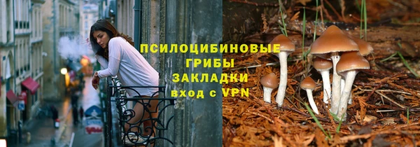 гашик Кинешма