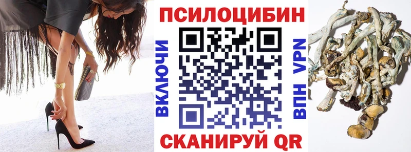 Галлюциногенные грибы мухоморы Купить где Каменногорск